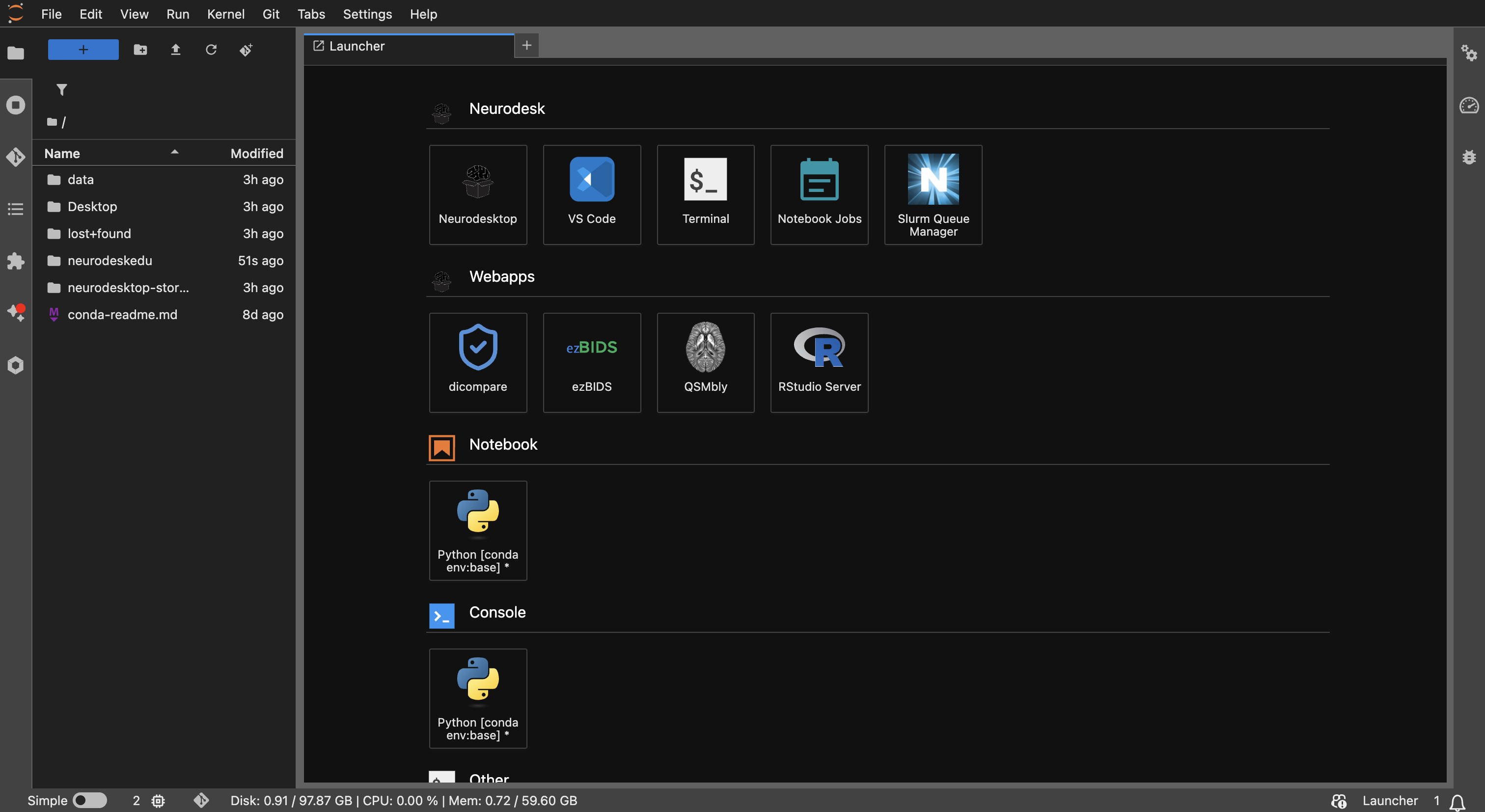The JupyterLab interface in Neurodesk