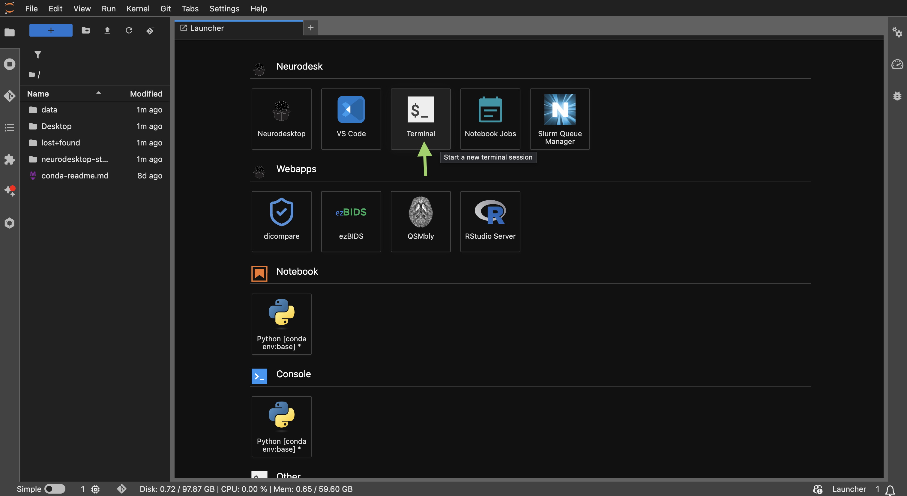 JupyterLab Launcher tab with Terminal tile highlighted