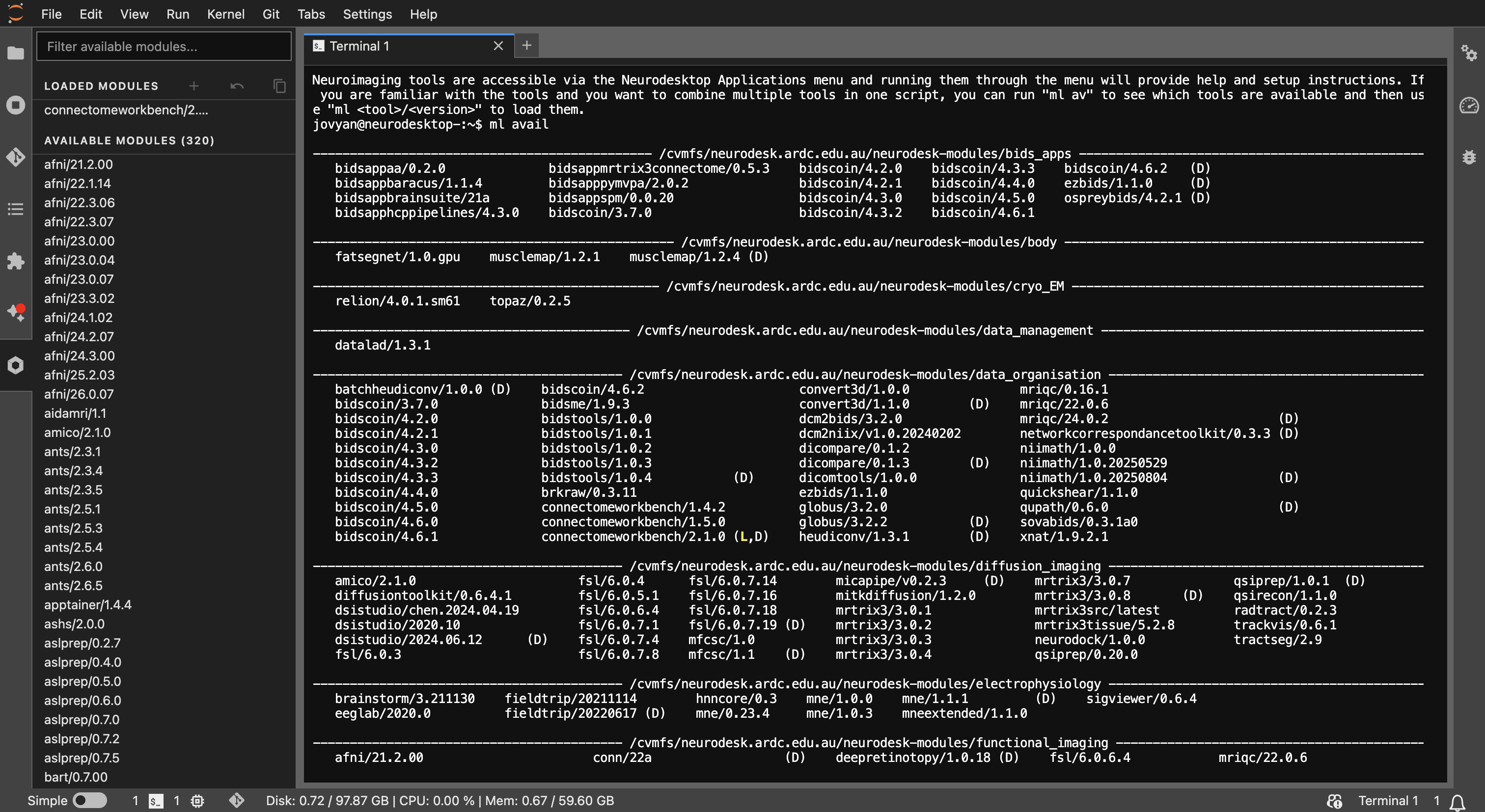 Terminal output of ml avail showing available Neurodesk containers
