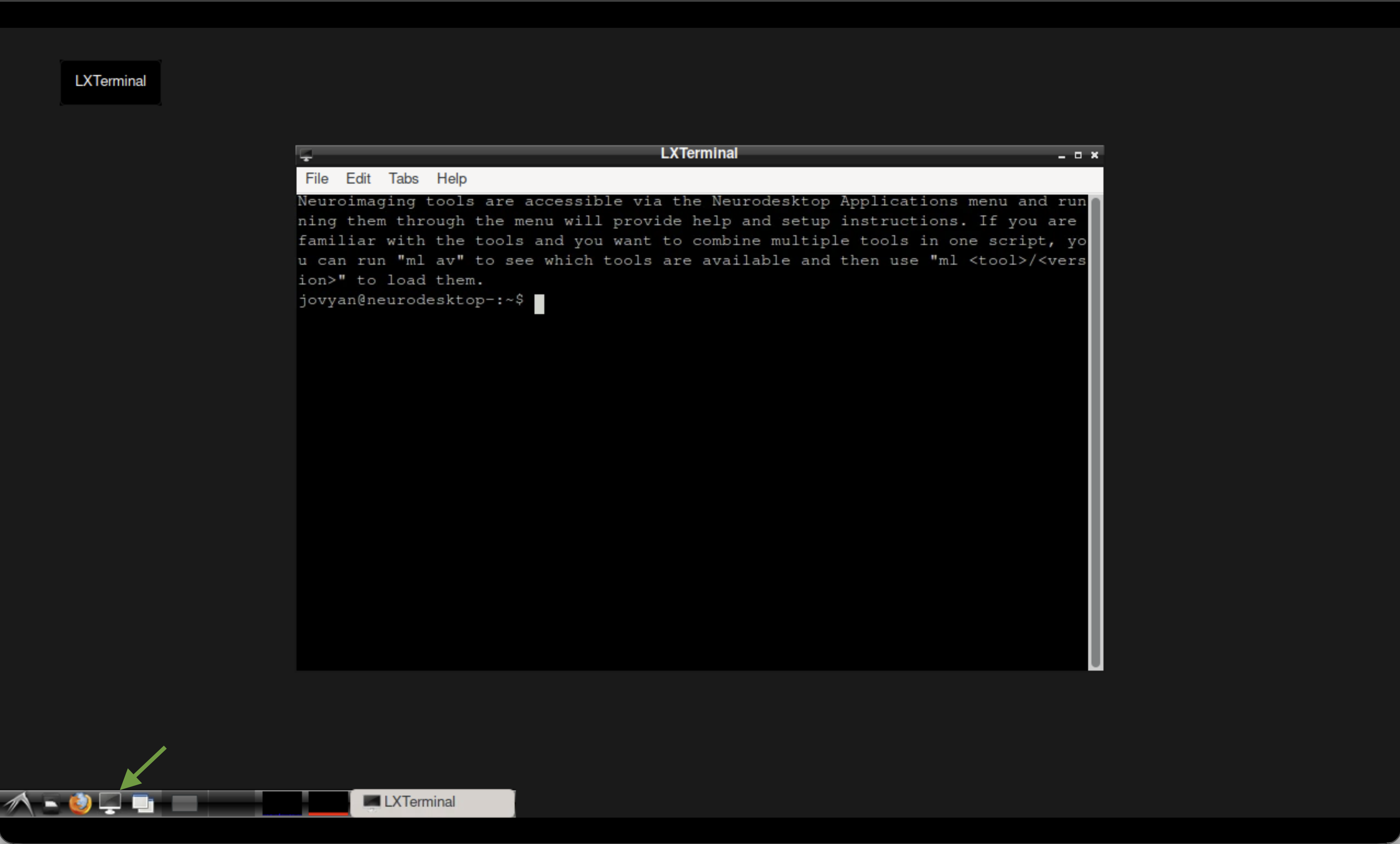 The terminal in Neurodesktop