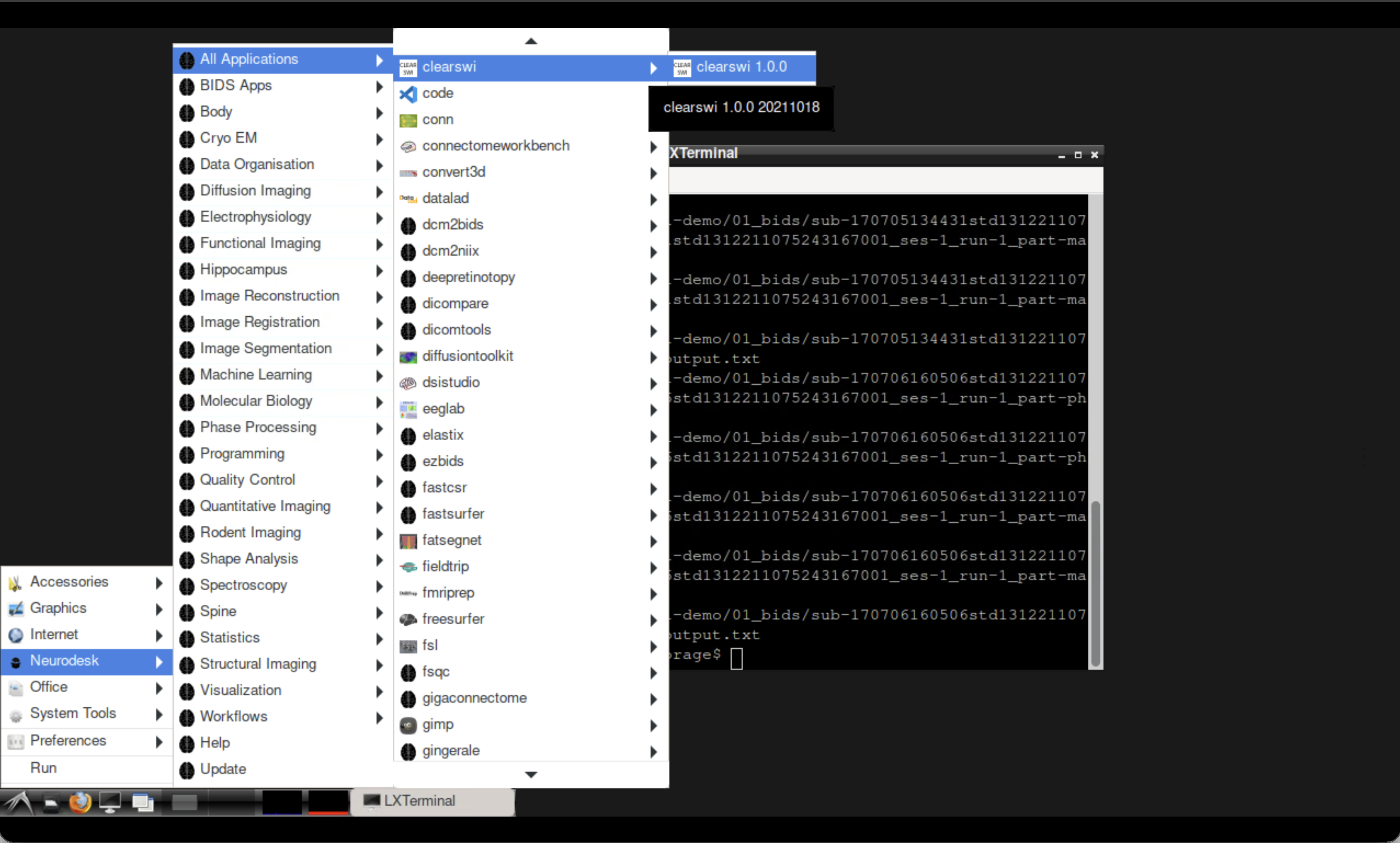 Opening CLEAR-SWI in Neurodesktop