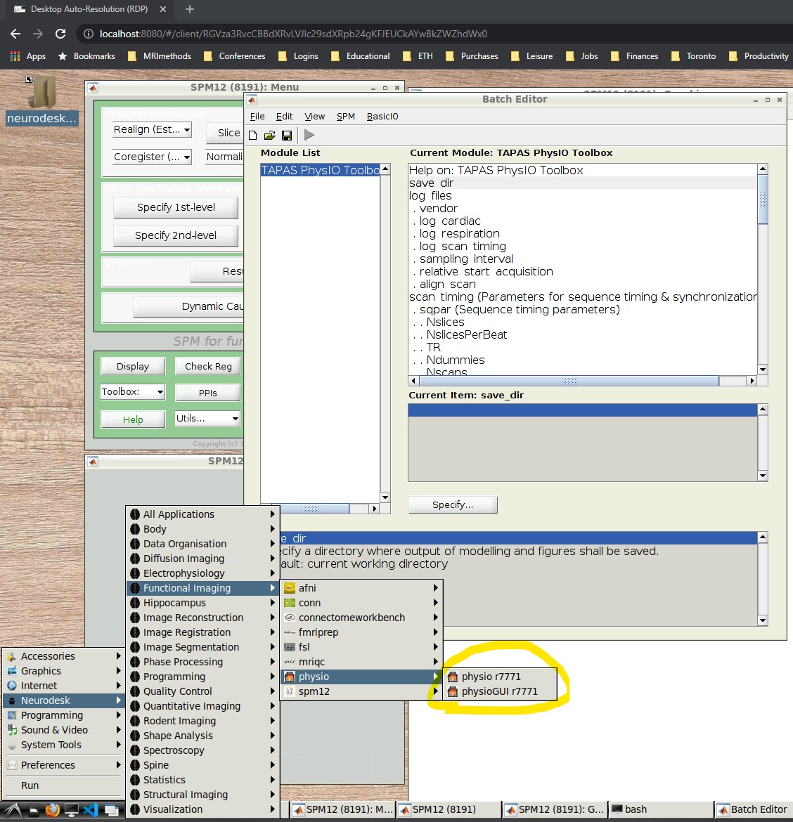 PhysIO GUI in neurodesk