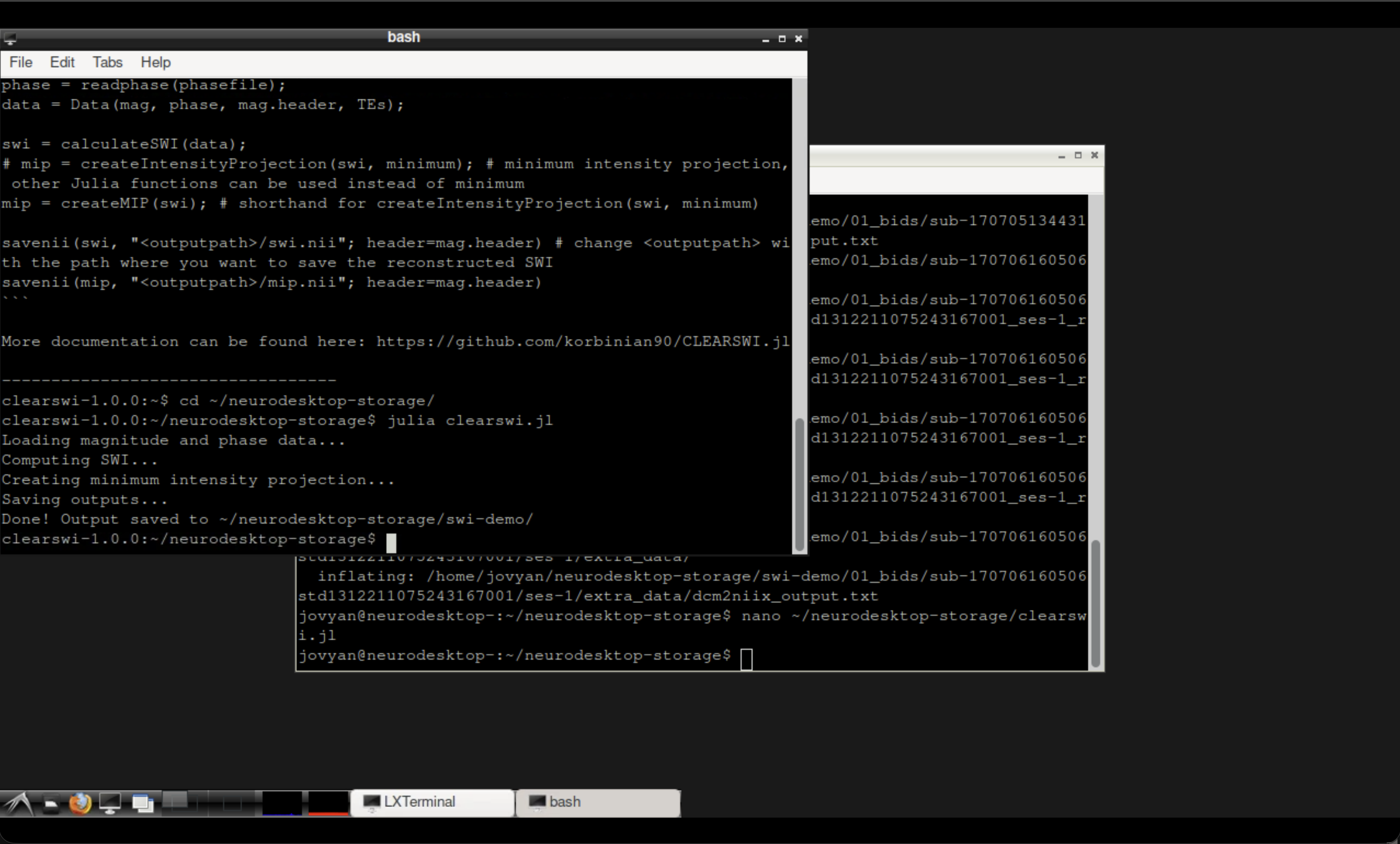 The CLEAR-SWI container terminal after running the script
