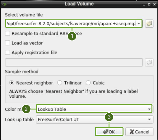 Load the segmentation using the FreeSurfer colour lookup table