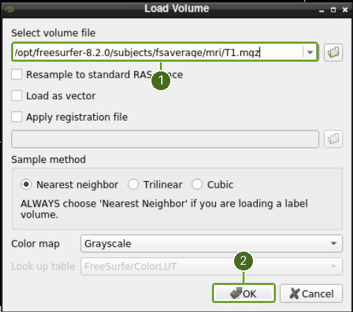 Enter the T1 image path in the Load Volume dialog, then click OK