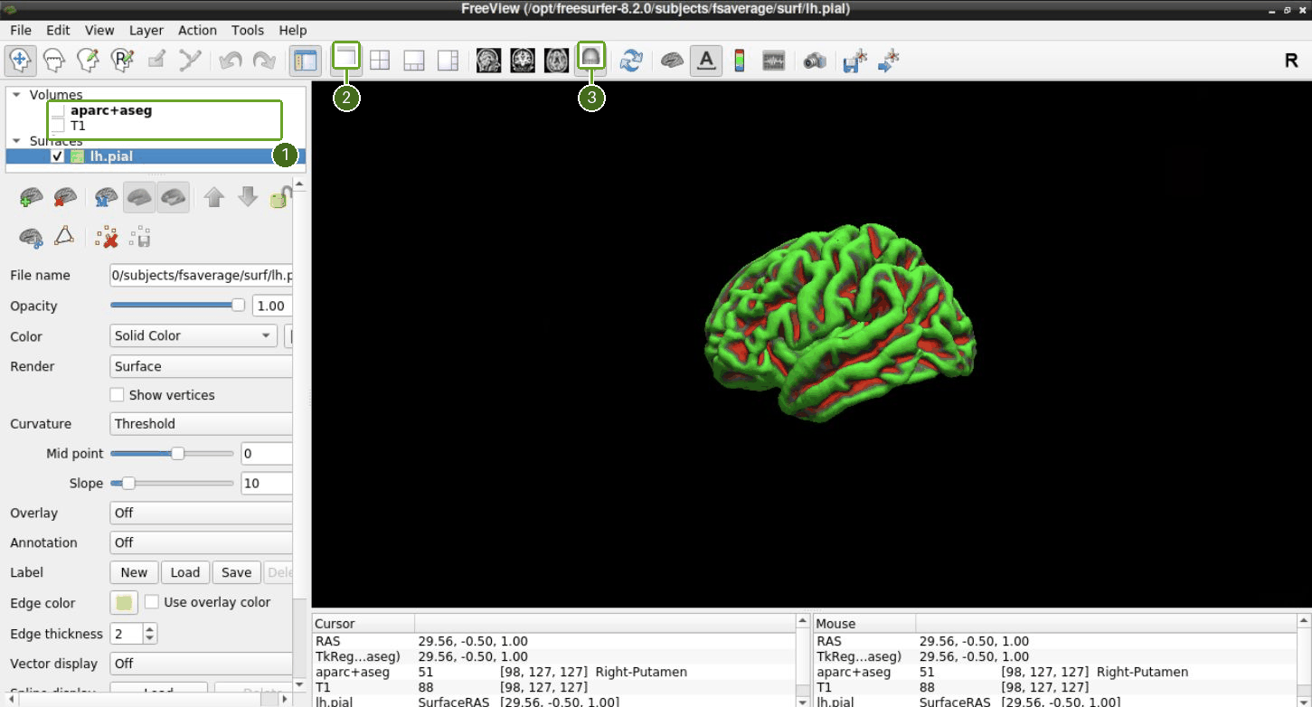 Show only the cortical surface in a single 3D pane