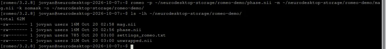 Terminal output after running ROMEO