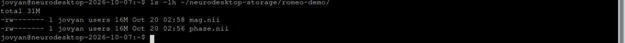 Magnitude and phase inputs ready for ROMEO