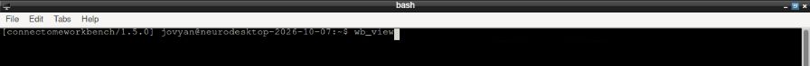 Type wb_view in the Workbench container terminal