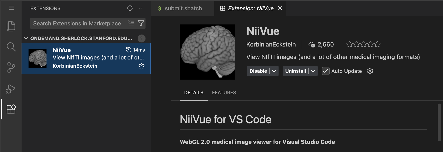 niivue vscode screensho